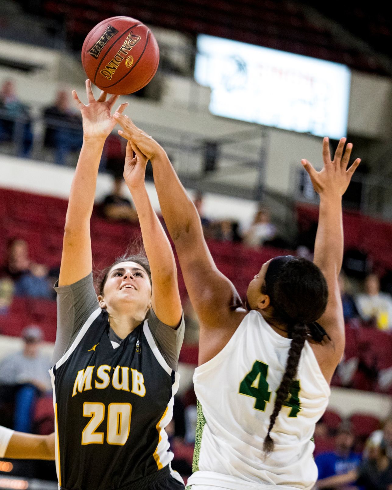 Rocky Mountain College vs. MSU Billings